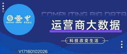 運營商大數(shù)據(jù)的精準客戶獲取與大數(shù)據(jù)服務實踐